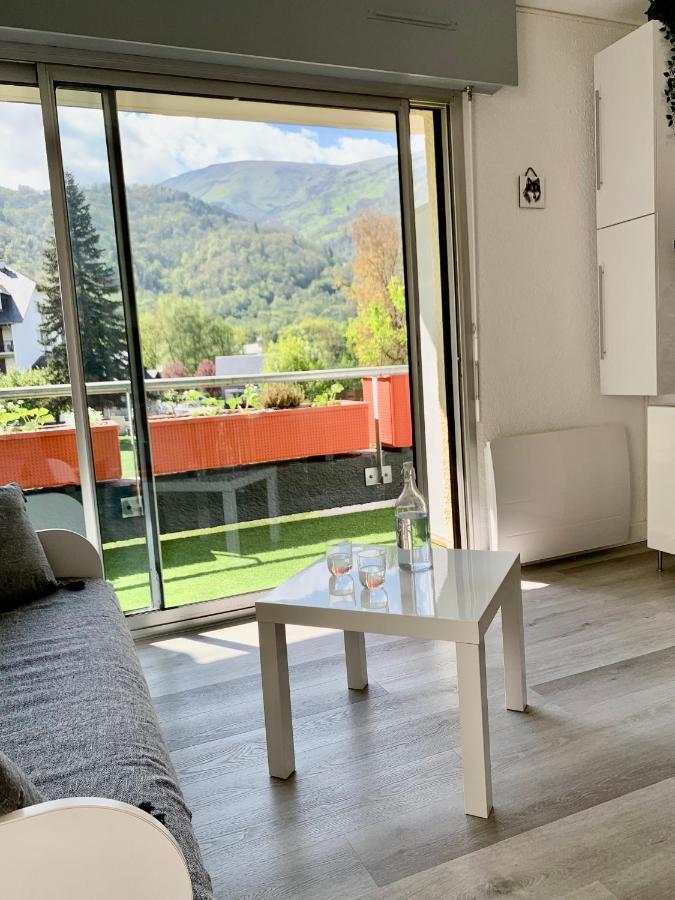 Gite 3*** Le Chardon Bleu Apartment Saint-Lary-Soulan Luaran gambar