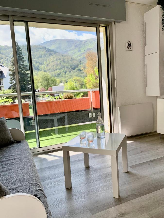Gite 3*** Le Chardon Bleu Saint-Lary-Soulan Luaran gambar